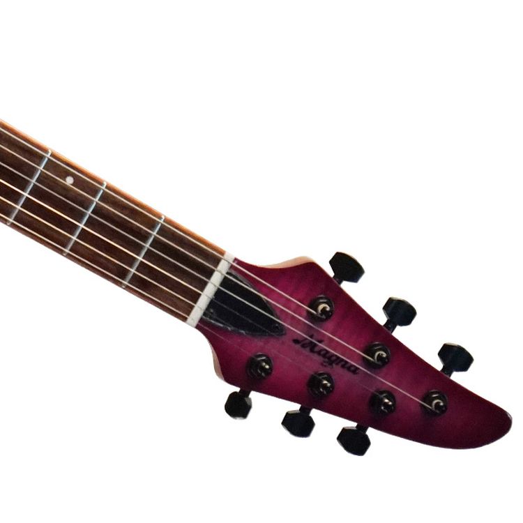 seizi guitar