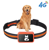 4G IOS Android Smart Pet Tracker Geo-fence Localisation en temps réel Dispositif de suivi GPS pour animaux domestiques Étanche IP67 GPS Pet Gps Collar