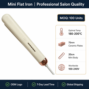 Piastra per Capelli Mini Diretta dalla Fabbrica, Logo Personalizzato OEM, Serigrafia, Ceramica 75mm, Doppia Tensione, Piastra da Viaggio 20cm, Vendita all'Ingrosso - Product Image 5