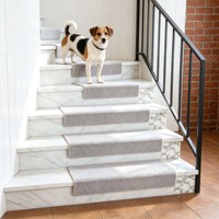 Tapis d'escalier antidérapants autocollants de luxe, lavables et silencieux, pour escaliers en bois à la maison