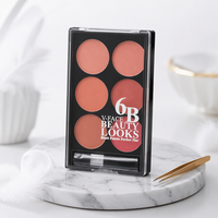 Palette de fards à joues 6 couleurs en gros, fini mat naturel, maquillage longue tenue, waterproof, pigmenté, cosmétique pour le visage