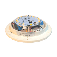 Lumière LED avec RGBW pour pot de fleurs, lumières de jardin avec télécommande