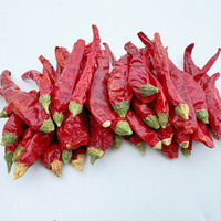 Vente en gros de piment rouge de qualité supérieure à bas prix, épices, herbes individuelles, piment de Cayenne, piment chili séché pour cuisinier