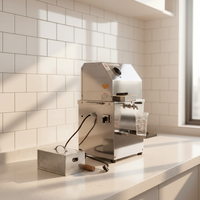 Commerciële, voedselveilige, elektrische, volautomatische fruit- en suikerrietpers van roestvrij staal, PLC-gestuurd, hoge efficiëntie