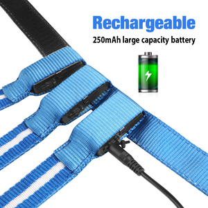 Nouvelles lampes LED clignotantes pour queue de cheval, rechargeables par USB - Product Image 4