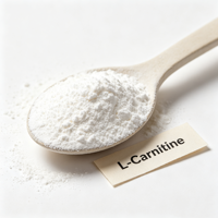 Poudre d'acides aminés personnalisée pour la nutrition sportive, complément de fitness, vente en gros, approvisionnement direct usine, poudre de L-Carnitine