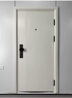 Porte d'entrée en acier durable, résistante à la moisissure, à l'isolation thermique et anti-fourmis