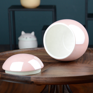 Guci Hewan Peliharaan Ramah Lingkungan dari Keramik Biodegradable dengan Tutup Berukir untuk Anjing Kucing, Guci Kremasi Hewan Peliharaan dari Keramik Biodegradable - Product Image 3