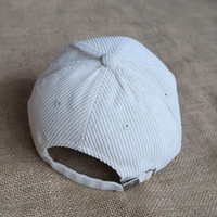 Gorras de Béisbol Deportivas Casuales para Mujer, con Logotipo Bordado en 3D Personalizado, de Pana, 6 Paneles, Estructuradas, con Visera Curva, en Oferta