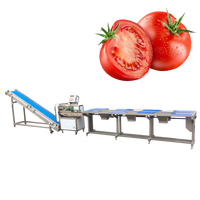 Bevroren Groente Productielijn/Voedselverwerkende Machine/okra Bevroren Productielijn Made In China