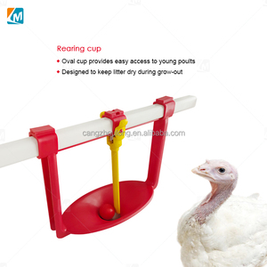 Z prezzo a buon mercato attrezzature <span class=keywords><strong>per</strong></span> l'azienda agricola di pollo bevitore d'oca tazza di anatra ciotola automatica <span class=keywords><strong>per</strong></span> acqua di pollame <span class=keywords><strong>per</strong></span> la Turchia - Product Image 4