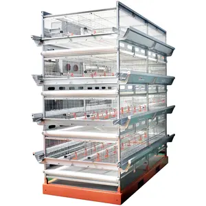 Alta Vendas Modern Poultry Farm H Tipo Manual Poultry Metal Broiler Raising Chicken Cage Com Sistema Automático De Limpeza De Estrume