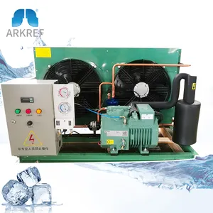ARKREF Systèmes de refroidissement de haute qualité Compresseur Bitzer Unité de condensation refroidie par air