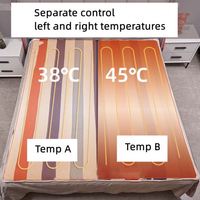 Couverture Chauffante Électrique 170*50cm à Prix Compétitif 12V 24V avec 4 Niveaux de Chauffage Rapide pour Voitures, Camions, VR
