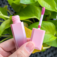 Brillant à lèvres rose mignon logo personnalisé rouge à lèvres liquide végétalien mat longue durée tubes de brillant à lèvres vides OEM