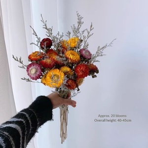 Pequeño Ramo de Flores Secas de Margarita, Decoración <span class=keywords><strong>para</strong></span> Sala de Estar, Girasol, Adornos Decorativos Sin Manchas, Estilo Ins, Secos - Product Image 4