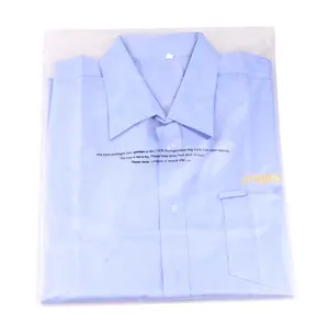 Custom Clothing Packaging Small Bags With Self-Adhesive Shipping Plastic Bag For Clothes