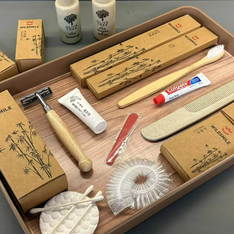 Customized Logo Brand 5 Star Disposable Plastic Biodegradable Toiletries Set for Hotel Guest Rooms Amenities Travel Use China