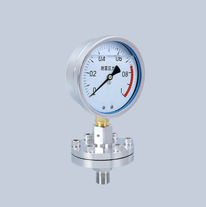 Manómetro hidráulico digital con diafragma roscado antivibración de acero inoxidable - Product Image 5