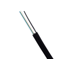 Fiber Optic Drop Cable GJYXCH LSZH 3 Steel 2 Core Wire Outdoor FRP Strength Indoor Application FTTH 1 Core