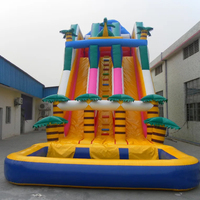 Toboggan aquatique gonflable populaire en PVC pour extérieur, grande piscine durable pour adultes, usage commercial, pas cher, 8x4m, 2-3 ans
