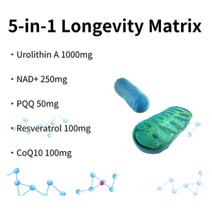 Suplemento de Urolithin A de Yhealth Supply con NAD, Resveratrol, CoQ10, PQQ, Cápsulas Blandas 5 en 1, Cápsulas Blandas de Urolithin A para la Salud - Product Image 3