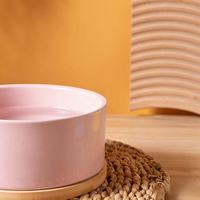 Bol à eau pour animaux de compagnie chauffé en céramique, électrique, étanche, avec fontaine à température constante pour chats, utilisation hivernale