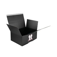 Caja de Cartón con Impresión Personalizada, Línea de Desgarre para Abrir, Caja de Embalaje con Tira Desprendible, Impresión Personalizada