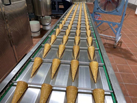 Machine à cônes à sucre automatique haute vitesse PLC pour cornets de crème glacée, équipement de boulangerie commerciale, personnalisable en usine, état neuf