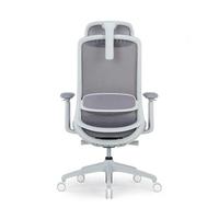 Chaise de bureau ergonomique moderne en maille avec soutien lombaire et hauteur réglable pour le bureau et la maison