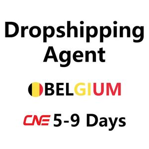 Shopify Livraison Agent de livraison Service d'expédition ferroviaire Livraison Livraison en Allemagne DE <span class=keywords><strong>Transport</strong></span> spécial Agent de fret - Product Image 2