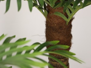 Petites plantes artificielles de <span class=keywords><strong>palmier</strong></span> de style bonsaï <span class=keywords><strong>en</strong></span> pots pour intérieur et extérieur Décoration d'intérieur unique - Product Image 4