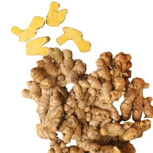 Raíz de jengibre fresco de alta calidad, saludable y aromático para cocinar y remedios herbales hechos en Vietnam al por mayor - Product Image 1