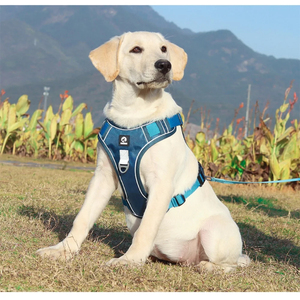 Arnés de <span class=keywords><strong>perro</strong></span> ajustable reflectante duradero cómodo personalizado <span class=keywords><strong>para</strong></span> <span class=keywords><strong>perro</strong></span> mediano grande <span class=keywords><strong>Labrador</strong></span> <span class=keywords><strong>Chaleco</strong></span> de entrenamiento táctico Oxford - Product Image 5
