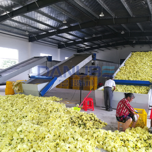 Complete Set of Vegetable Washing, Cutting, and Drying Machines: Green Onion and Chive Vegetable Dryer - Product Image 5