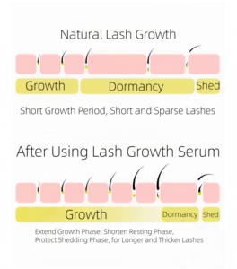 Nuevo Diseño <span class=keywords><strong>de</strong></span> Sérum <span class=keywords><strong>de</strong></span> Péptidos <span class=keywords><strong>para</strong></span> <span class=keywords><strong>Pestañas</strong></span> y Cejas Marca Blanca Bajo MOQ Sérum <span class=keywords><strong>para</strong></span> <span class=keywords><strong>Crecimiento</strong></span> y Rizado <span class=keywords><strong>de</strong></span> <span class=keywords><strong>Pestañas</strong></span> Cuidado Posterior <span class=keywords><strong>para</strong></span> Extensiones <span class=keywords><strong>de</strong></span> <span class=keywords><strong>Pestañas</strong></span> - Product Image 5