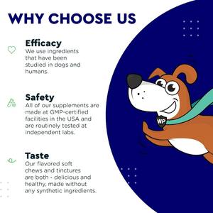 مسحوق تنظيف الأسنان للكلاب حصرياً من الشركة المصنعة، مكمل غذائي بالفيتامينات والمعادن صديق للبيئة 180 جرام لإزالة الجير ورائحة الفم الكريهة - Product Image 3