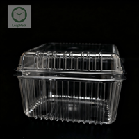 Boîte de conservation jetable en PET de haute qualité pour aliments, sandwichs, sushis, salades, avec design rectangulaire, vente en gros, utilisation pour le pain et le sucre