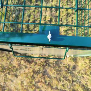 Piège en métal de grande taille pour animaux, <span class=keywords><strong>cage</strong></span> de piège à chien pour attraper des animaux, raton laveur, chat errant, marmotte, Opossum - Product Image 6