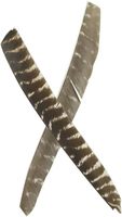 Véritable aile naturelle tir à l'arc flèche plume empennage aubes plume de dinde pour bricolage tir à l'arc chasse cible tir flèche accessoire