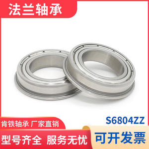 Rodamientos de Bolas de Ranura Profunda de Acero Inoxidable SF6804ZZ, Suministro Directo de Fábrica, Equipos de Galvanoplastia, Bridas Resistentes a la Corrosión, Venta al por Mayor - Product Image 6