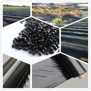 Chine vente en gros en plastique 50% noir maître matière première qualité en gros lot maître en plastique pour Film de paillis <span class=keywords><strong>agricole</strong></span> - Product Image 2