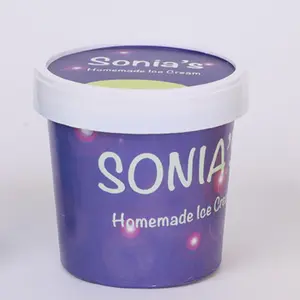 Produttore cinese 420Ml personalizzato 14Oz gelato all'ingrosso 450Ml con cucchiaio tazza di Yogurt congelato usa e getta di alta qualità