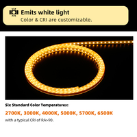 Bande lumineuse LED flexible ultra-mince SMD 2835, étanche IP66, pour extérieur, néon, pour maison, jardin, plafond, OEM ODM AC 110V 220V