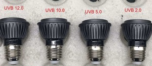 Cho Amazon Hot Bán UVB Led Bò sát bóng đèn nhiệt màu đỏ ánh sáng đèn E27 cơ sở thả vận chuyển 1 cái - Product Image 5