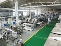 Ligne de production de chips de pommes de terre Pringles