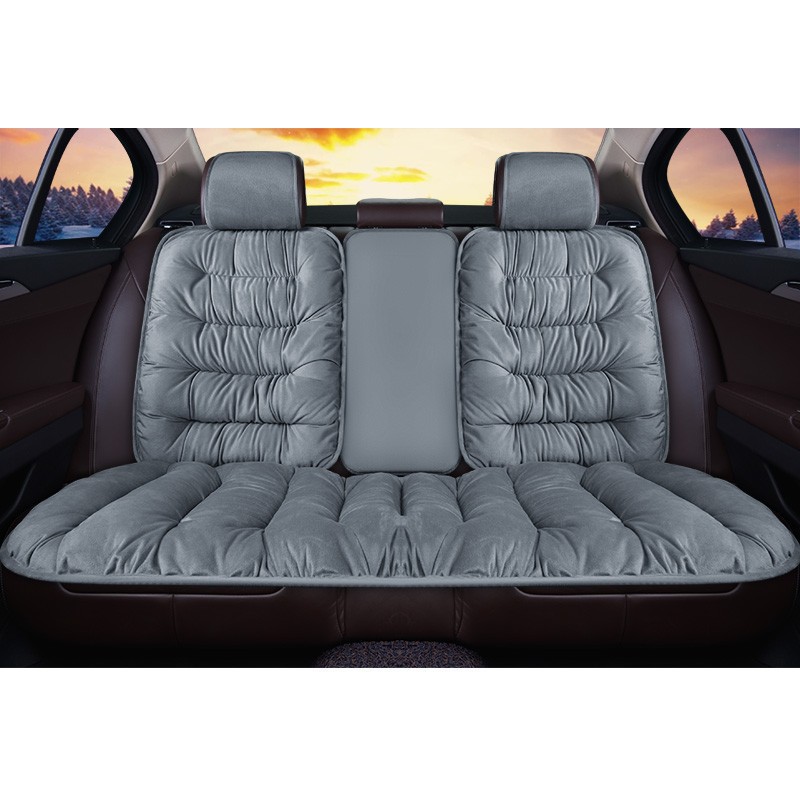 Pelucchi (grigio)-posteriore separato