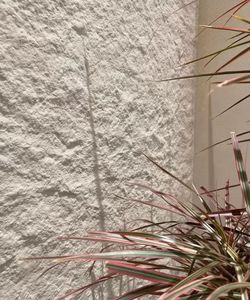 Piastrelle in Porcellana Morbida Effetto Granito Opaco di Alta Qualità, Materiale Edile Ecologico per Progetti Architettonici Moderni - Product Image 4