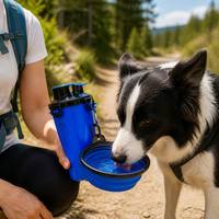 Bol d'eau pliable portable pour animaux de compagnie en plastique TPE, abreuvoir pour chien et chat, pour la randonnée en plein air