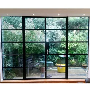 Наружные Современные внутренние раздвижные стеклянные металлические наружные двери из железа для внутреннего дворика